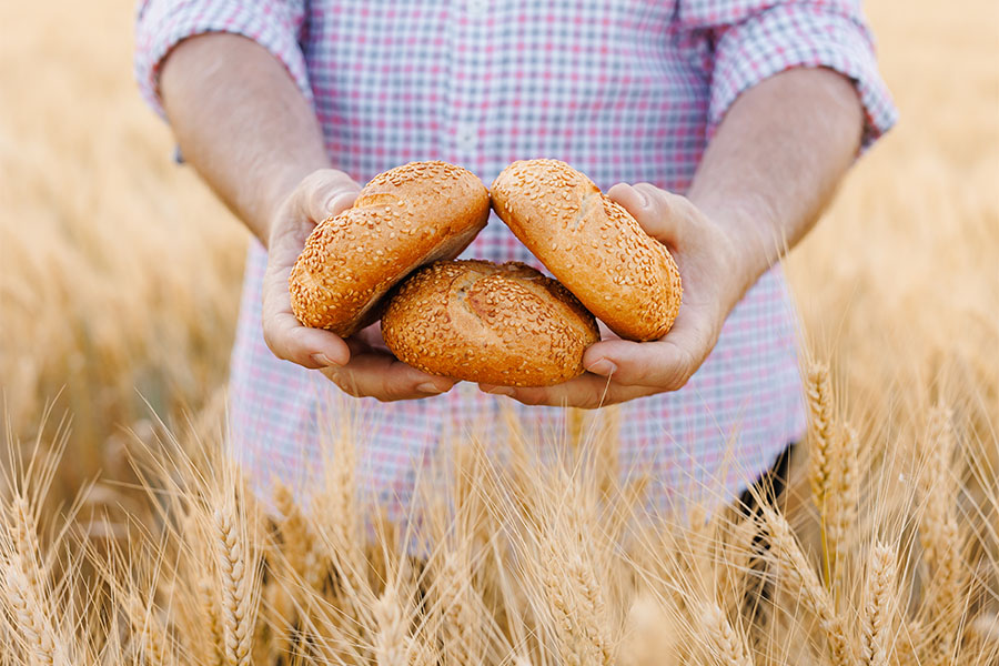 gluten dairy intolerance blog story