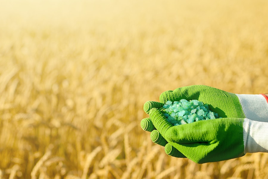farmer holding synthetic fertiliser