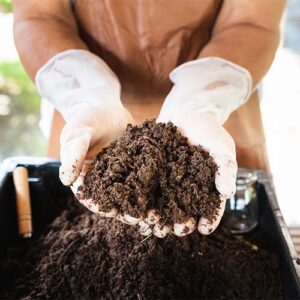 gardener holding healthy soil in her hands